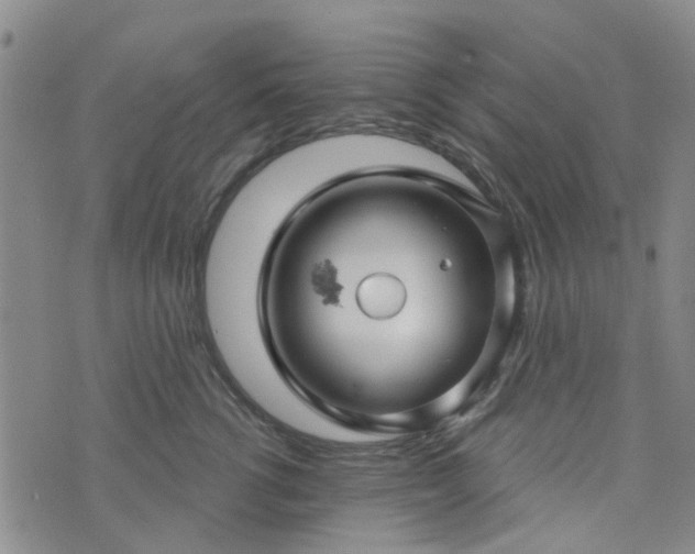 X0000076380762200610161115