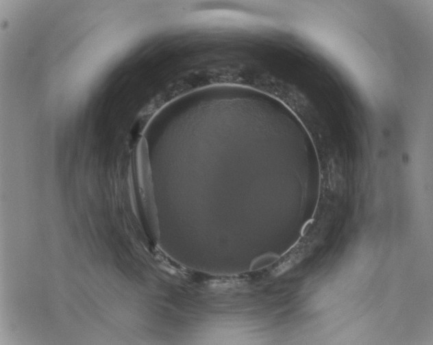 X0000076380763200610161115