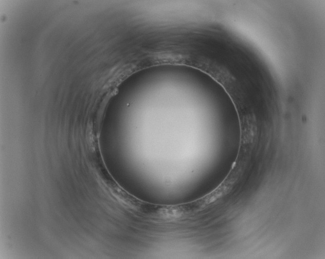 X0000076380764200610161115