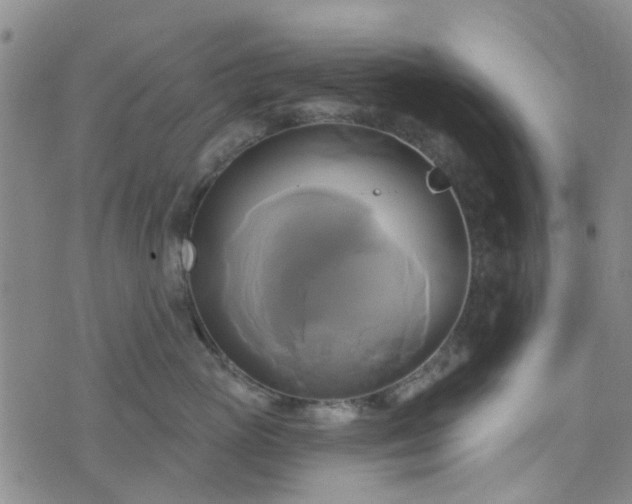 X0000076380765200610161115