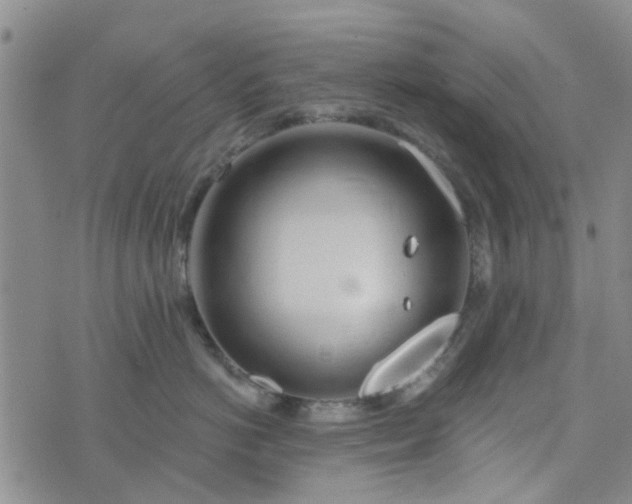 X0000076380766200610161115