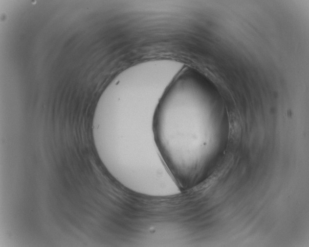 X0000076380767200610161115