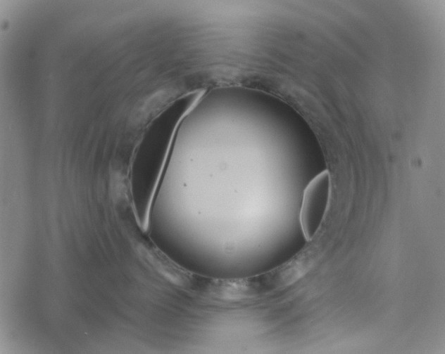 X0000076380768200610161115