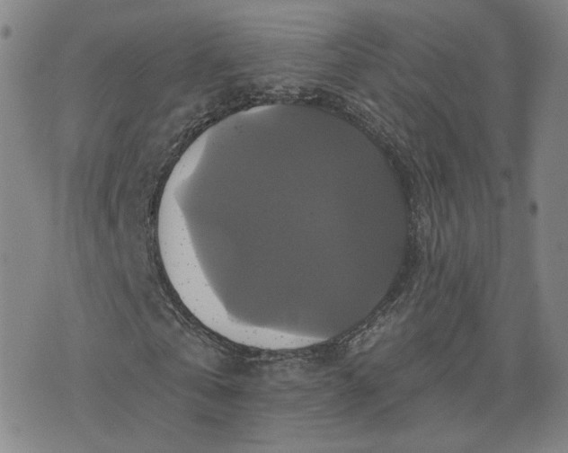 X0000076380769200610161114