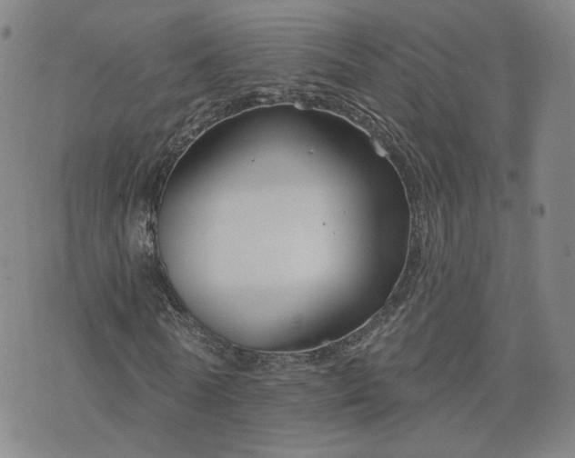 X0000076380770200610161114