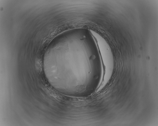 X0000076380772200610161114