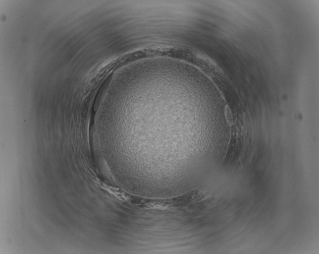 X0000076380773200610161114