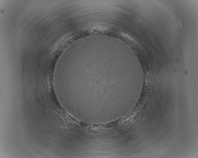 X0000076380774200610161114