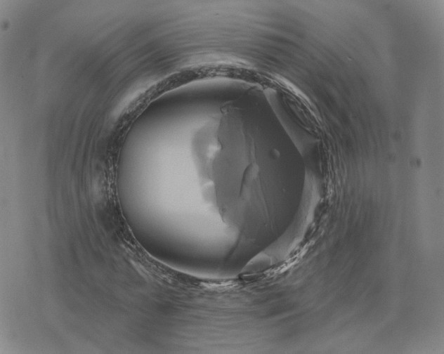 X0000076380775200610161114