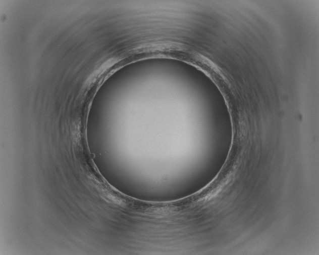 X0000076380778200610161114