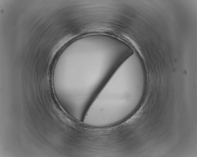 X0000076380779200610161114