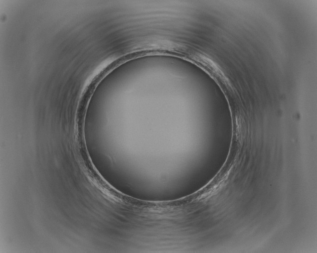 X0000076380780200610161114