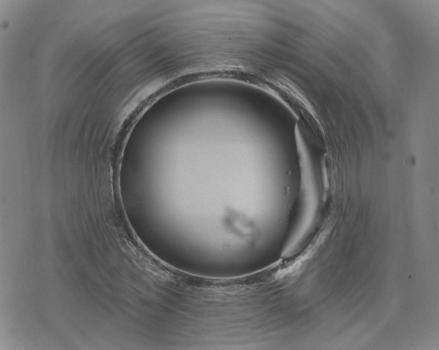 X0000076380781200610161114