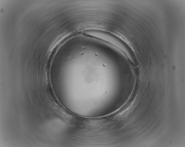 X0000076380782200610161114