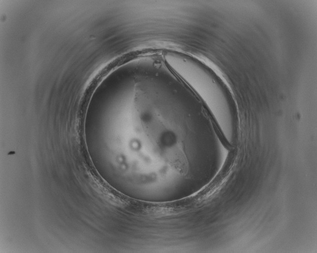 X0000076380783200610161114