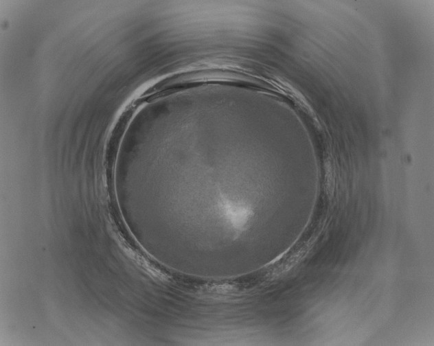 X0000076380784200610161114