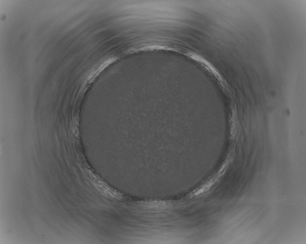 X0000076380785200610161114