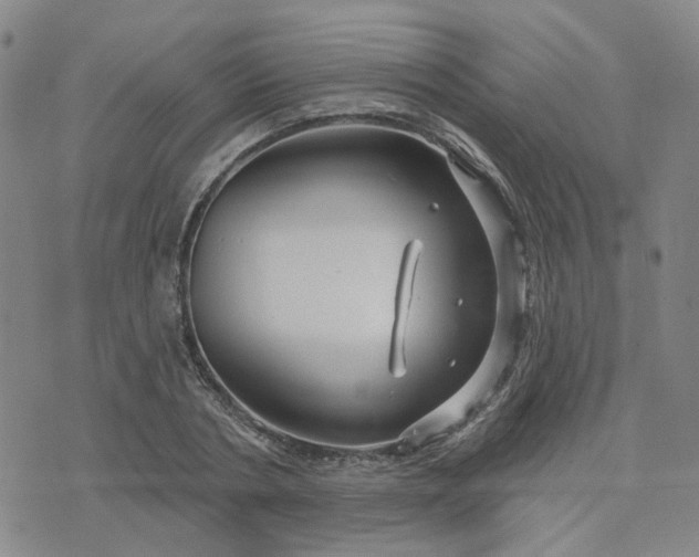 X0000076380786200610161114