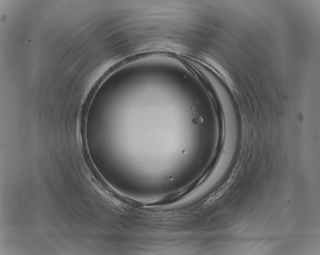 X0000076380788200610161114