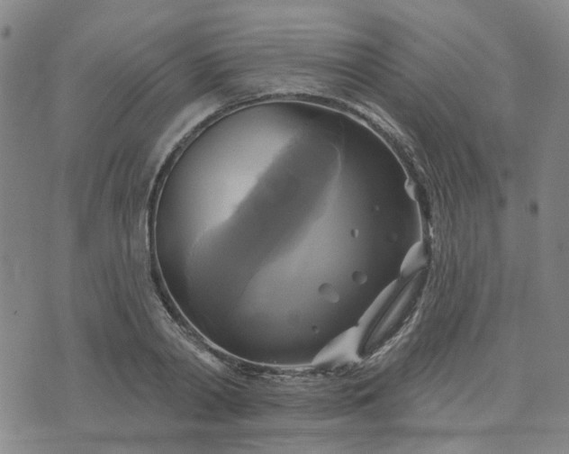 X0000076380790200610161114