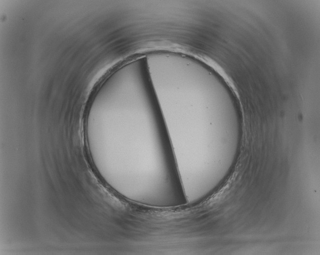 X0000076380791200610161114