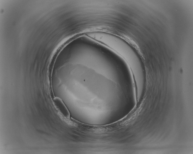 X0000076380792200610161114