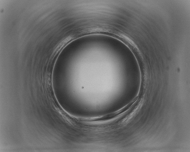 X0000076380793200610161114