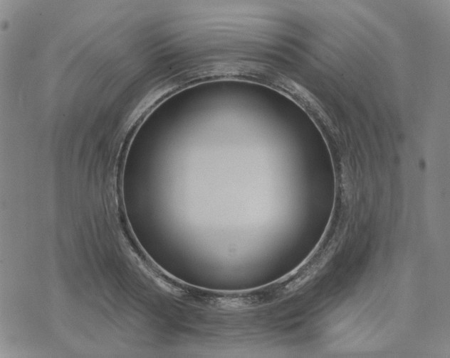 X0000076380794200610161114