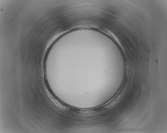 X0000076380795200610161114