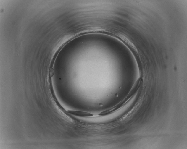 X0000076380797200610161114