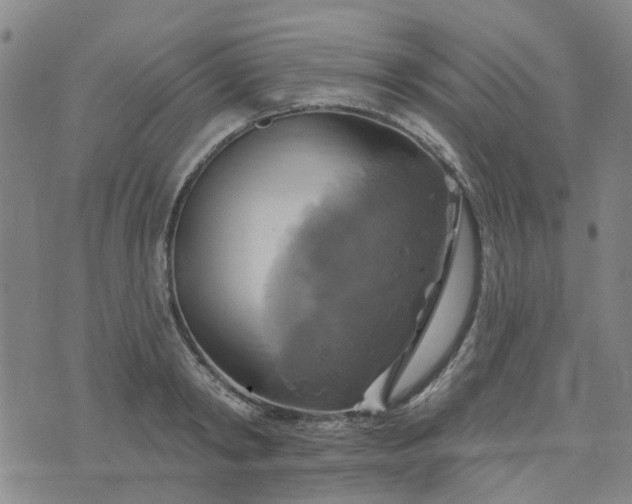 X0000076380798200610161114