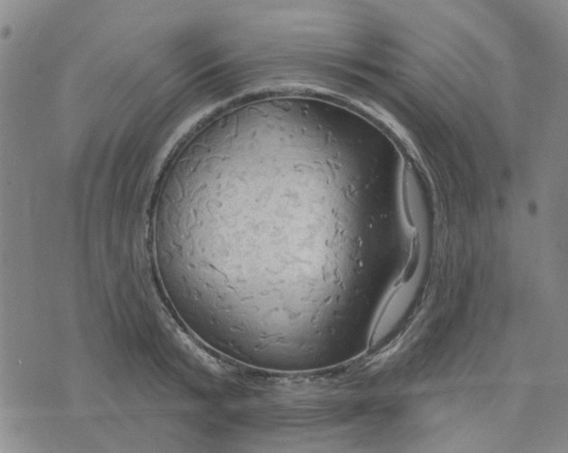 X0000076380799200610161114