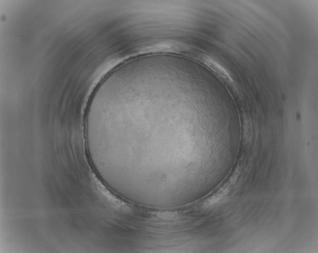 X0000076380800200610161114