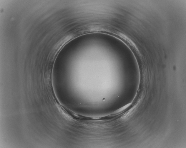 X0000076380801200610161114