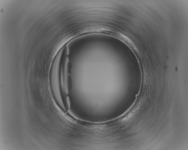 X0000076380802200610161113