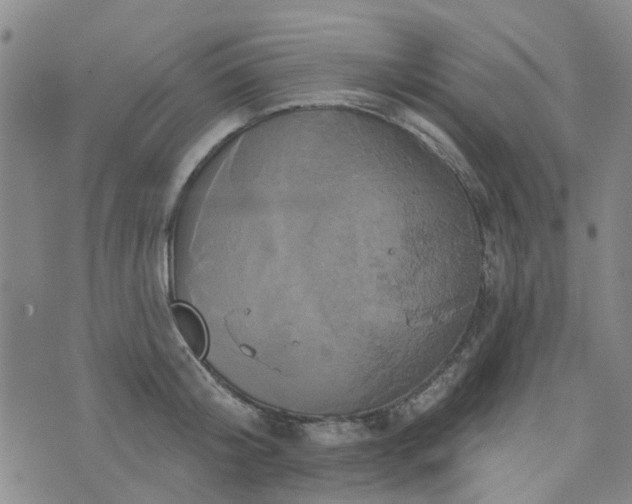 X0000076380804200610161113