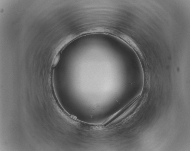 X0000076380805200610161113