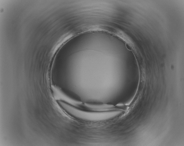 X0000076380806200610161113