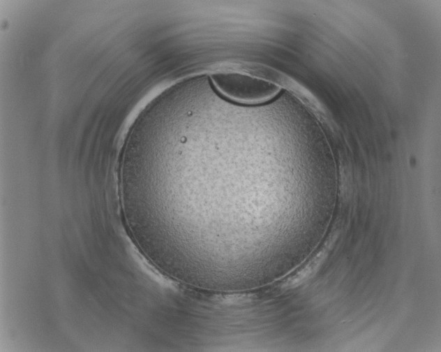 X0000076380808200610161113