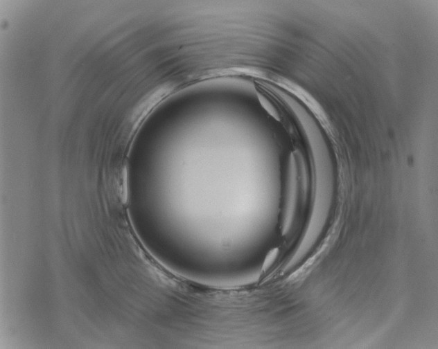 X0000076380809200610161113