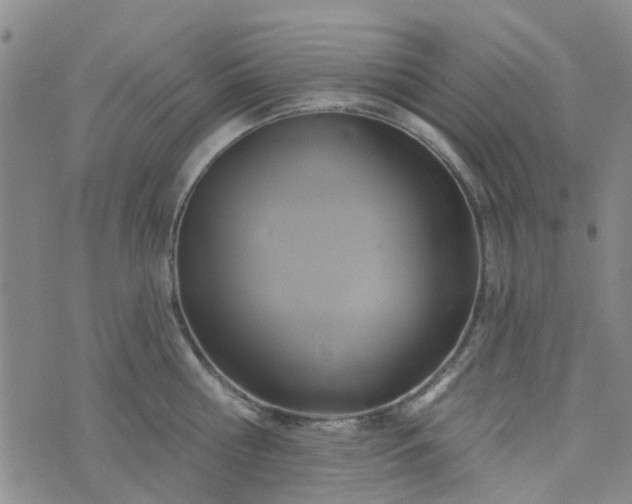 X0000076380810200610161113