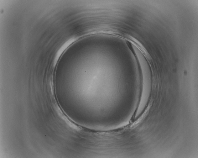 X0000076380812200610161113