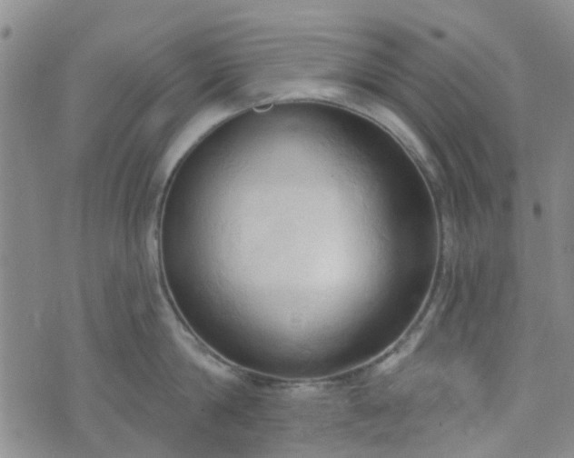 X0000076380814200610161113