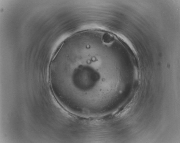 X0000076380815200610161113