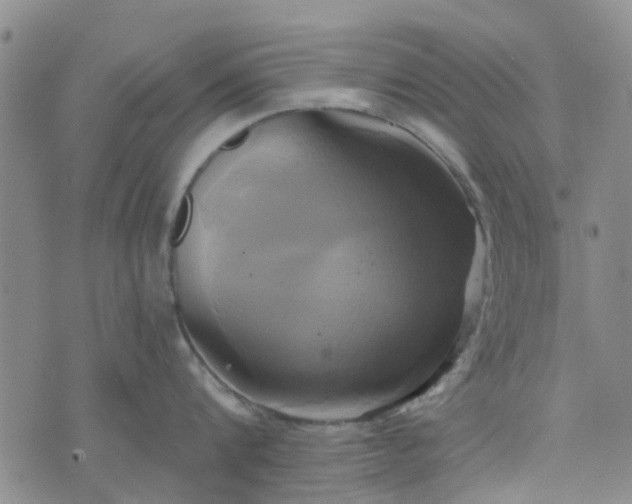 X0000076380816200610161113