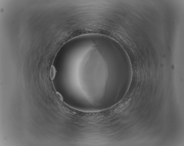 X0000076380817200610161112