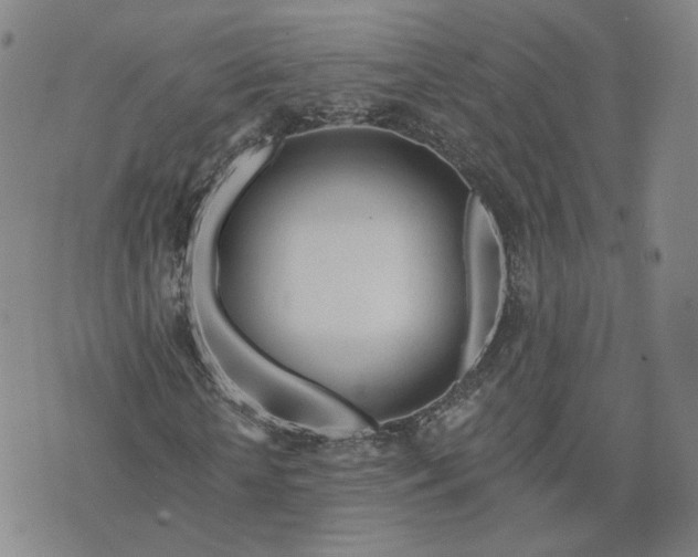 X0000076380818200610161112