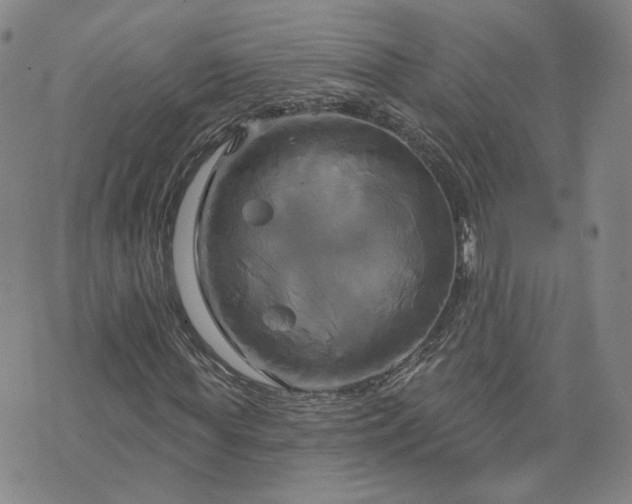 X0000076380819200610161113