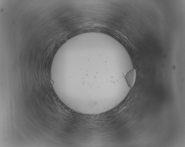 X0000076380820200610161113