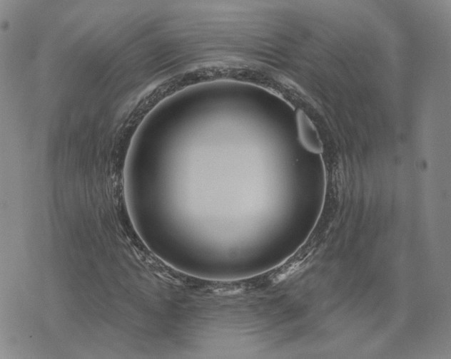 X0000076380822200610161113